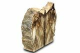 Tall, Colorful Petrified Wood Bookends - Washington #307182-2